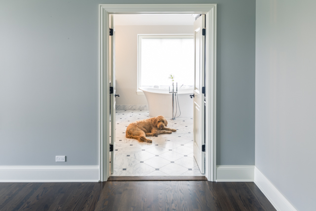Dog enjoying heated bathroom floor